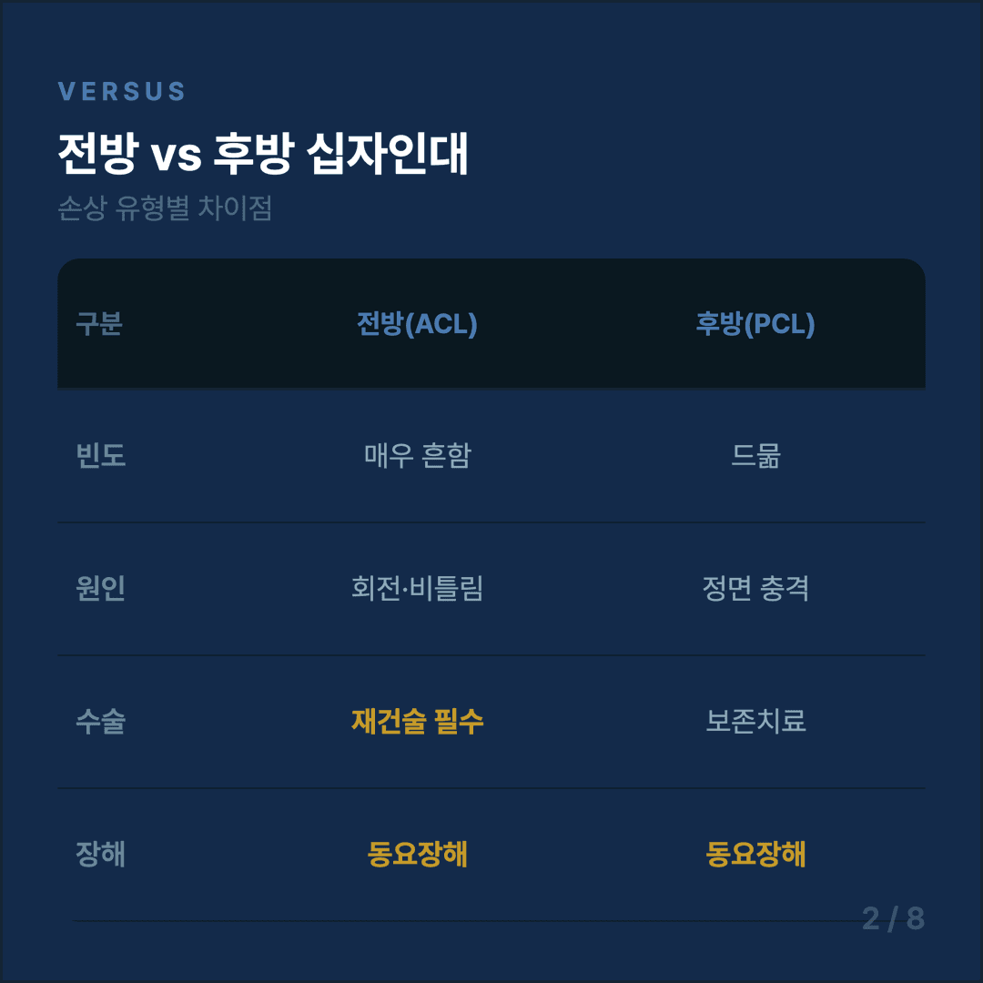 십자인대 파열 보험금 청구 가이드 - 2/8